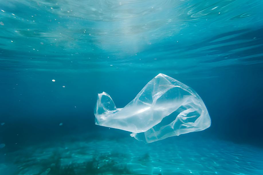 Mar de Plástico: Una Problemática Global del 2024